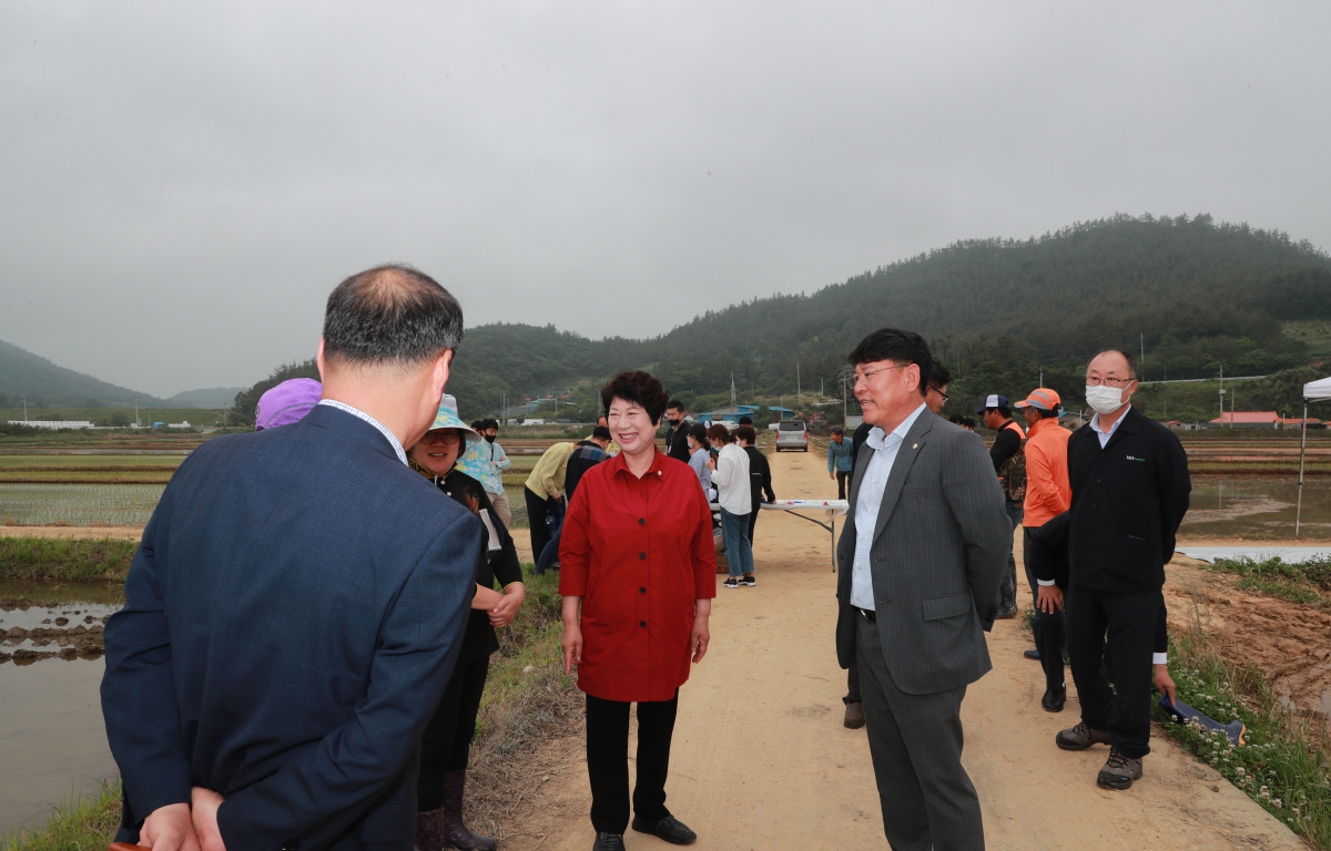 최고품질 쌀 생산시범 이양연시회 첨부이미지 : 20200602 최고품질 쌀 이양연시회 (3).JPG