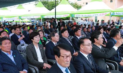 제14회 금일다시마축제